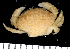  ( - MBIO3204.1)  @11 [ ] Unspecified (default): All Rights Reserved  Unspecified Unspecified