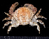  ( - MBIO3305.1)  @15 [ ] Unspecified (default): All Rights Reserved  Unspecified Unspecified