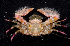  ( - MBIO3306.1)  @14 [ ] Unspecified (default): All Rights Reserved  Unspecified Unspecified