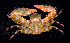  ( - MBIO3337.1)  @14 [ ] Unspecified (default): All Rights Reserved  Unspecified Unspecified
