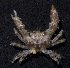  ( - MBIO3570.1)  @13 [ ] Unspecified (default): All Rights Reserved  Unspecified Unspecified