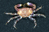  ( - MBIO3843.1)  @13 [ ] Unspecified (default): All Rights Reserved  Unspecified Unspecified