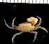  ( - MBIO3844.1)  @14 [ ] Unspecified (default): All Rights Reserved  Unspecified Unspecified