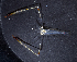  ( - MBIO3914.1)  @16 [ ] Unspecified (default): All Rights Reserved  Unspecified Unspecified