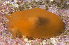  ( - MBIO2443.1)  @11 [ ] Unspecified (default): All Rights Reserved  Unspecified Unspecified