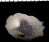 ( - MBIO2754.1)  @13 [ ] Unspecified (default): All Rights Reserved  Unspecified Unspecified