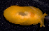  ( - MBIO2755.1)  @11 [ ] Unspecified (default): All Rights Reserved  Unspecified Unspecified