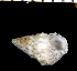 ( - MBIO3228.1)  @11 [ ] Unspecified (default): All Rights Reserved  Unspecified Unspecified
