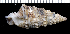  ( - MBIO3388.1)  @11 [ ] Unspecified (default): All Rights Reserved  Unspecified Unspecified