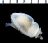  ( - MBIO3397.1)  @13 [ ] Unspecified (default): All Rights Reserved  Unspecified Unspecified
