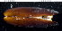  ( - MBIO3524.1)  @11 [ ] Unspecified (default): All Rights Reserved  Unspecified Unspecified