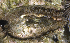  ( - MBIO4005.1)  @12 [ ] Unspecified (default): All Rights Reserved  Unspecified Unspecified