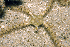  ( - MBIO2126.1)  @11 [ ] Unspecified (default): All Rights Reserved  Unspecified Unspecified