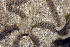  ( - MBIO2150.1)  @11 [ ] Unspecified (default): All Rights Reserved  Unspecified Unspecified
