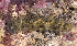  ( - MBIO2183.1)  @11 [ ] Unspecified (default): All Rights Reserved  Unspecified Unspecified
