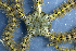  ( - MBIO2229.1)  @11 [ ] Unspecified (default): All Rights Reserved  Unspecified Unspecified