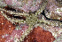  ( - MBIO2389.1)  @11 [ ] Unspecified (default): All Rights Reserved  Unspecified Unspecified