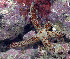  ( - MBIO2446.1)  @11 [ ] Unspecified (default): All Rights Reserved  Unspecified Unspecified