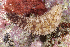  ( - MBIO2447.1)  @11 [ ] Unspecified (default): All Rights Reserved  Unspecified Unspecified