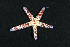  ( - MBIO2696.1)  @11 [ ] Unspecified (default): All Rights Reserved  Unspecified Unspecified