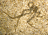  ( - MBIO2745.1)  @11 [ ] Unspecified (default): All Rights Reserved  Unspecified Unspecified