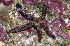  ( - MBIO2749.1)  @11 [ ] Unspecified (default): All Rights Reserved  Unspecified Unspecified