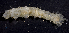  ( - MBIO2763.1)  @11 [ ] Unspecified (default): All Rights Reserved  Unspecified Unspecified