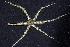  ( - MBIO2975.1)  @11 [ ] Unspecified (default): All Rights Reserved  Unspecified Unspecified