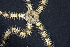  ( - MBIO3089.1)  @11 [ ] Unspecified (default): All Rights Reserved  Unspecified Unspecified