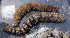  ( - MBIO3219.1)  @11 [ ] Unspecified (default): All Rights Reserved  Unspecified Unspecified