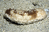  ( - MBIO3221.1)  @11 [ ] Unspecified (default): All Rights Reserved  Unspecified Unspecified