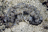  ( - MBIO3222.1)  @11 [ ] Unspecified (default): All Rights Reserved  Unspecified Unspecified