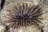  ( - MBIO3290.1)  @11 [ ] Unspecified (default): All Rights Reserved  Unspecified Unspecified