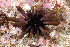  ( - MBIO3292.1)  @11 [ ] Unspecified (default): All Rights Reserved  Unspecified Unspecified