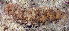  ( - MBIO3313.1)  @11 [ ] Unspecified (default): All Rights Reserved  Unspecified Unspecified