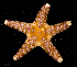  (Ferdininae - MBIO3480.1)  @11 [ ] Unspecified (default): All Rights Reserved  Unspecified Unspecified