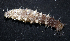  ( - MBIO3488.1)  @11 [ ] Unspecified (default): All Rights Reserved  Unspecified Unspecified
