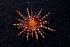  ( - MBIO3559.1)  @11 [ ] Unspecified (default): All Rights Reserved  Unspecified Unspecified