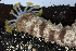  ( - MBIO3893.1)  @11 [ ] Unspecified (default): All Rights Reserved  Unspecified Unspecified