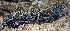  ( - MBIO3894.1)  @11 [ ] Unspecified (default): All Rights Reserved  Unspecified Unspecified