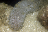  ( - MBIO3922.1)  @11 [ ] Unspecified (default): All Rights Reserved  Unspecified Unspecified