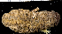  ( - MBIO3970.1)  @11 [ ] Unspecified (default): All Rights Reserved  Unspecified Unspecified