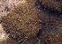  ( - MBIO2219.1)  @11 [ ] Unspecified (default): All Rights Reserved  Unspecified Unspecified