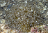  ( - MBIO2629.1)  @11 [ ] Unspecified (default): All Rights Reserved  Unspecified Unspecified