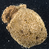  ( - MBIO2630.1)  @11 [ ] Unspecified (default): All Rights Reserved  Unspecified Unspecified