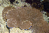  ( - MBIO3238.1)  @11 [ ] Unspecified (default): All Rights Reserved  Unspecified Unspecified