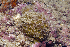  ( - MBIO3404.1)  @11 [ ] Unspecified (default): All Rights Reserved  Unspecified Unspecified