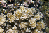  ( - MBIO3515.1)  @11 [ ] Unspecified (default): All Rights Reserved  Unspecified Unspecified