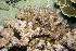  ( - MBIO3534.1)  @11 [ ] Unspecified (default): All Rights Reserved  Unspecified Unspecified