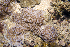  ( - MBIO3594.1)  @11 [ ] Unspecified (default): All Rights Reserved  Unspecified Unspecified